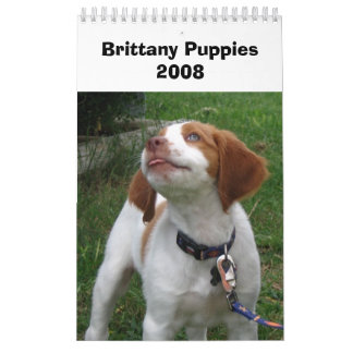 Brittany valpar 2008 kalender