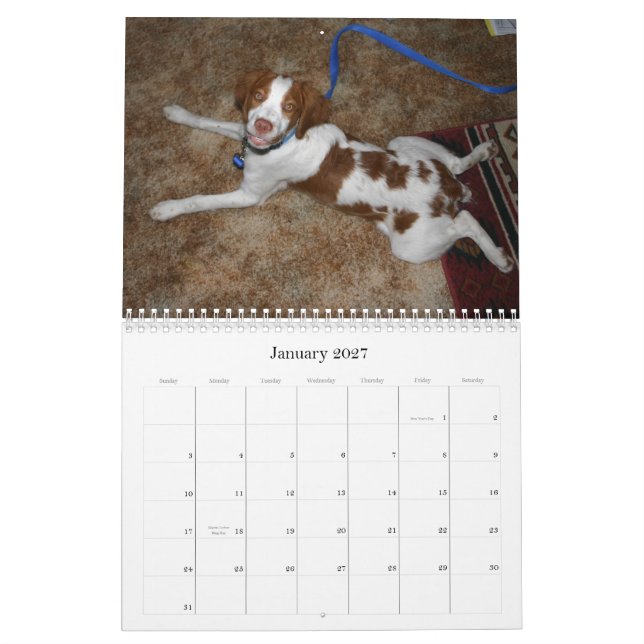 Brittany valpkalender 2009 kalender (Jan 2027)