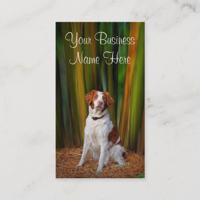 Brittany visitkort (Framsida)