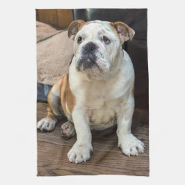 Brittisk bulldoggvalp kökshandduk
