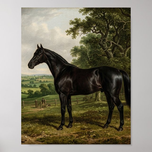 Brittisk fullblodshingst Stalls I Poster (Framsidan)