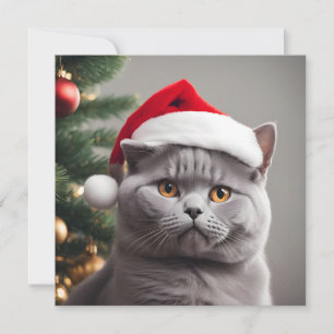 Brittisk korthår jul julkort