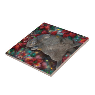 Brittisk Shorthair Cat Kattunge Poinsettias jul Kakelplatta