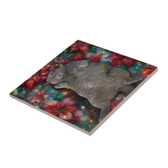 Brittisk Shorthair Cat Kattunge Poinsettias jul Kakelplatta (Sidan)