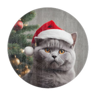 Brittisk Shorthair-jul