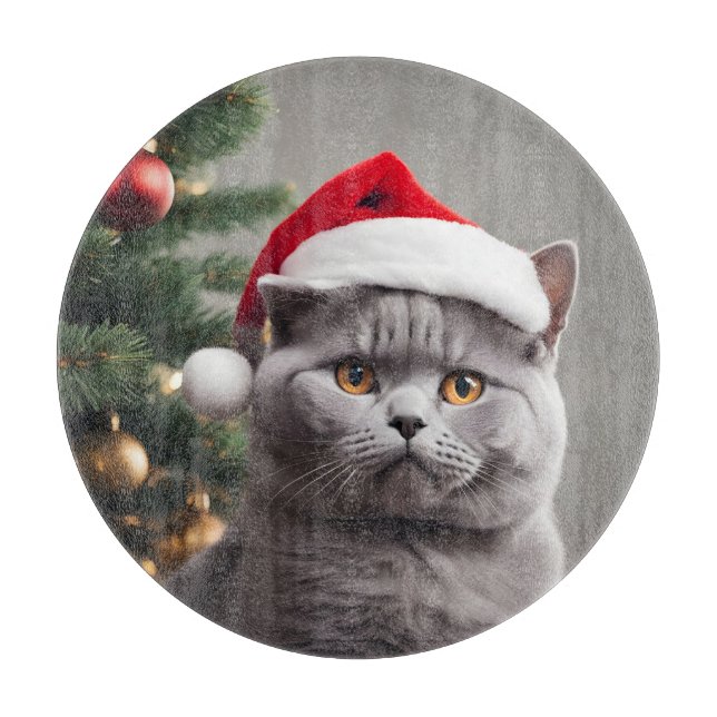 Brittisk Shorthair-jul (Framsidan)