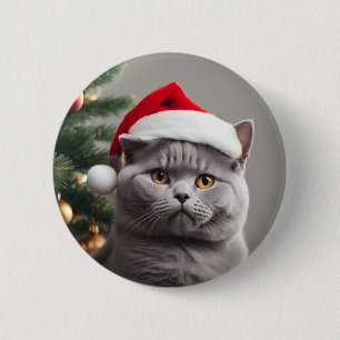 Brittisk Shorthair-jul Knapp