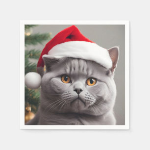 Brittisk Shorthair-jul Pappersservett
