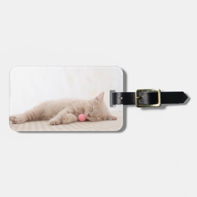 Brittisk Shorthair katt Bagagebricka (Horisontell Framsida)