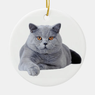 Brittisk shorthairkatt julgransprydnad keramik