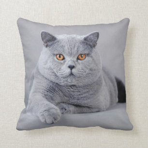Brittisk shorthairkatt kudde