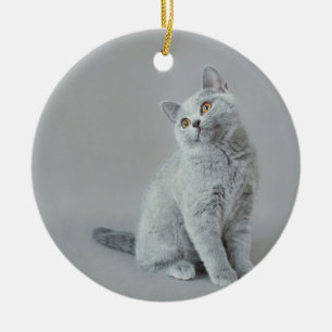 Brittisk shorthairkattunge julgransprydnad keramik