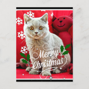 Brittisk Shorthar Cat, julhälsningar Vykort