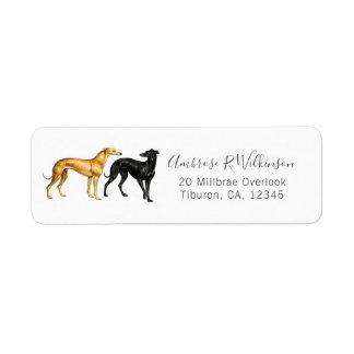 Brittiska Greyhound Dogs Waterloo Cup 1877 Finkons Returadress Etikett