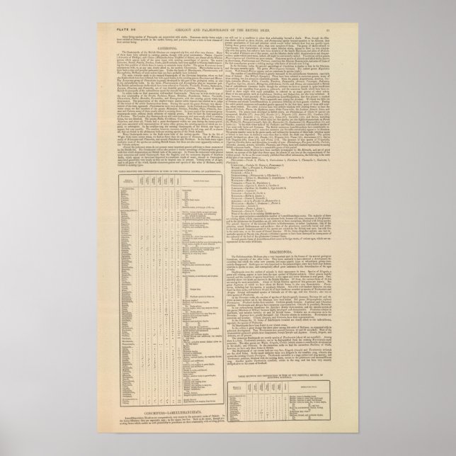 Brittiska öarnas geologi och paleontologi poster (Framsidan)