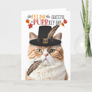 Brittiska Orangen Cat-Kattdjuret tacksamt för PURR Helgkort