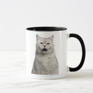 Brittiska Shorthair (4 gammala år) Mugg