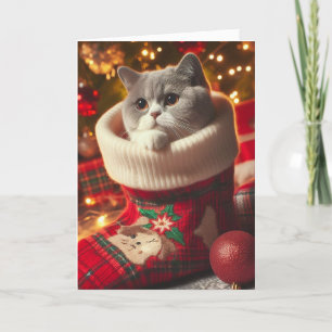 Brittiska Shorthair Cat i ett julkort Helgkort