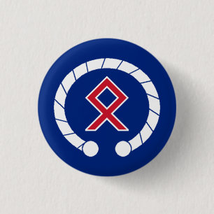 Brittiskt AngloCeltic emblem - Torc & runa Knapp