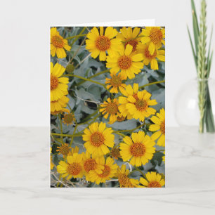 Brittlebush Flowers Greeting Card_anpassade Kort