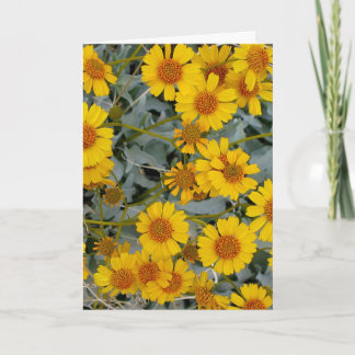 Brittlebush Flowers Greeting Card_anpassade Kort