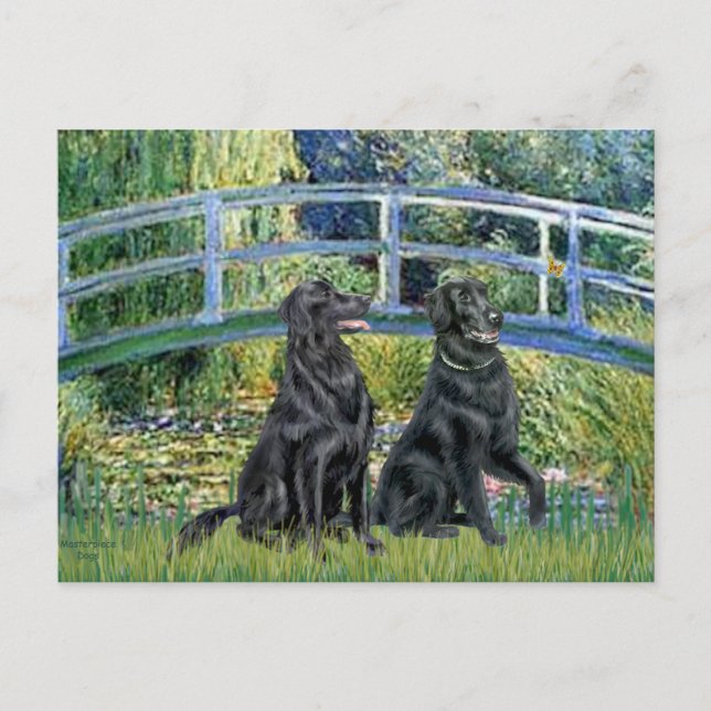 Bro - Flat Coated Retriever (två) Vykort (Framsida)