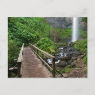 Bro över Latourell Falls, Columbia River Gorge, Vykort