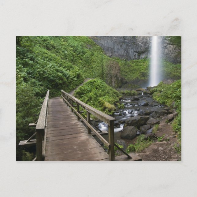 Bro över Latourell Falls, Columbia River Gorge, Vykort (Framsida)