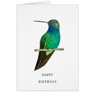 Broad-billed Hummingbird Birthday Card Hälsningskort