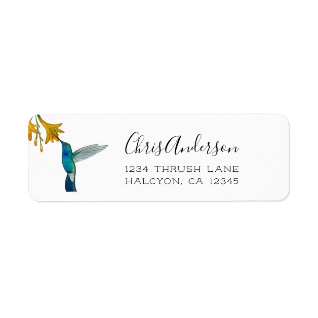 Broad-billed Hummingbird return address Label Returadress Etikett (Framsidan)