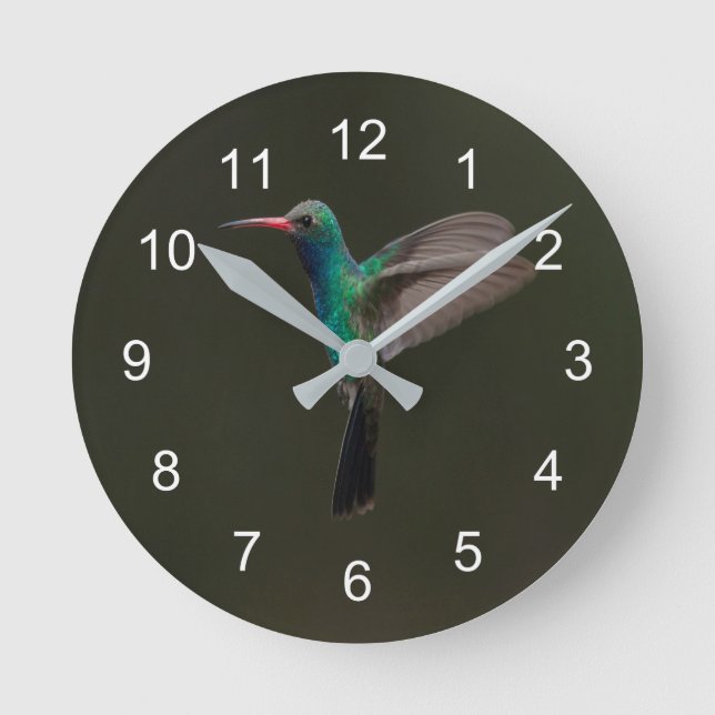 Broad-Billed Hummingbird under flygning Rund Klocka (Framsida)