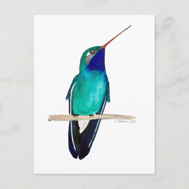 Broad-billed Hummingbird Vykort (Framsida)