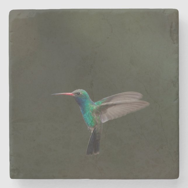 Broad-billingfågel under flygning stenunderlägg (Framsidan)