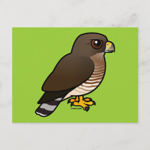 Broad-winged Hawk Vykort