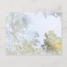 Broadleaf träd reflekterat på Vatten vykort