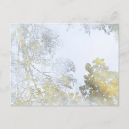 Broadleaf träd reflekterat på Vatten vykort