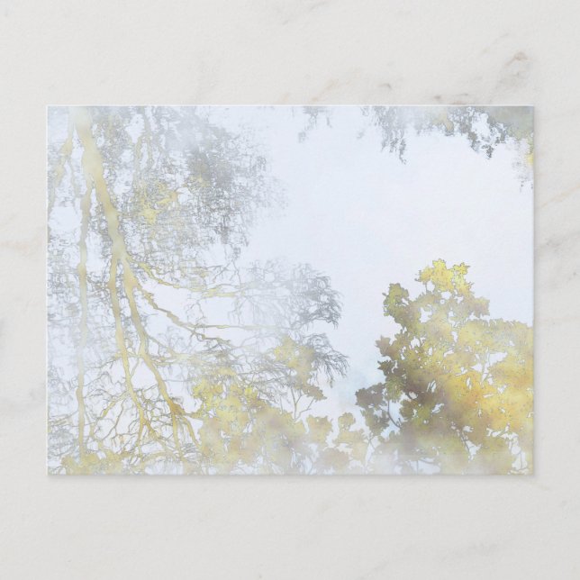 Broadleaf träd reflekterat på Vatten vykort (Framsida)