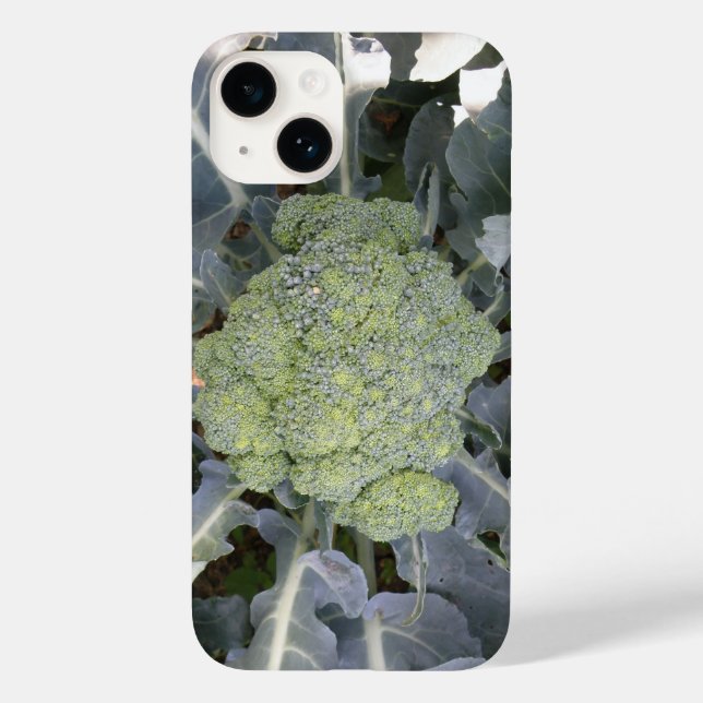 Broccoli (Baksida)