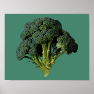 Broccoli 14" x 11", värderar (Matte) Poster