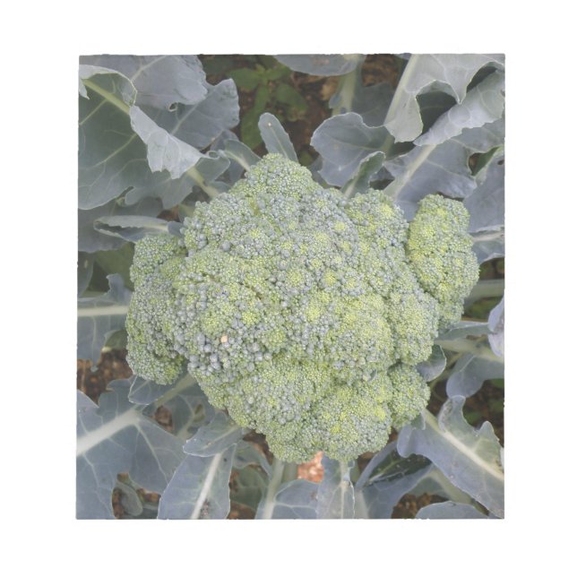 Broccoli-Anteckningsblock Anteckningsblock (Framsida)