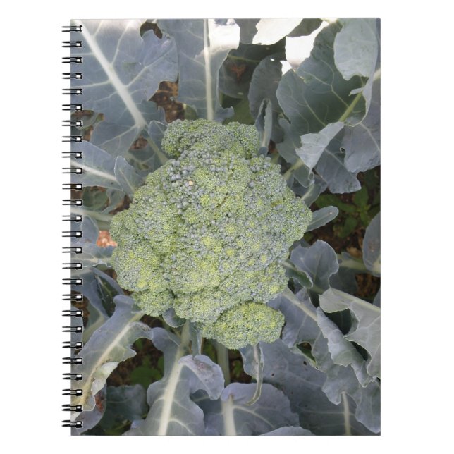 Broccoli-anteckningsbok Anteckningsbok (Framsidan)