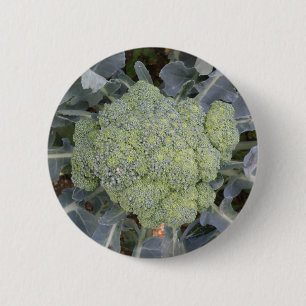 Broccoli-knapp Knapp