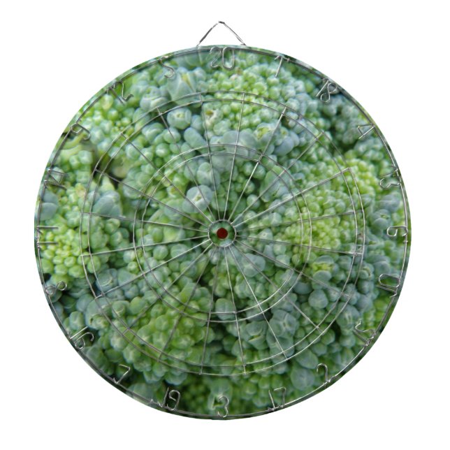 Broccoli Macro Dart Board Darttavla (Framsidan)