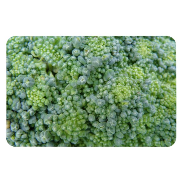 Broccoli Macro Premium Magnet (Horisontell)
