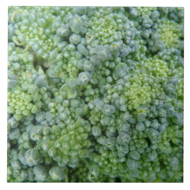 Broccoli Macro Tile Kakelplatta (Framsidan)