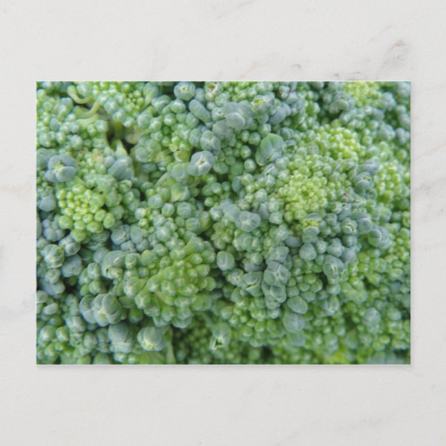 Broccoli Macro-vykort Vykort (Framsida)