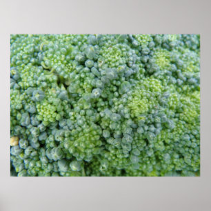 Broccoli Makro-utskrift Poster