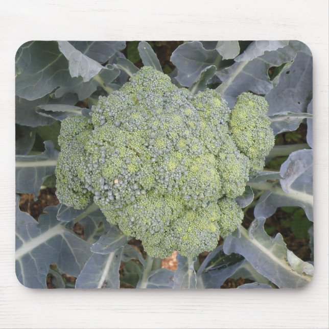 Broccoli Mousepad Musmatta (Framsidan)