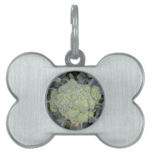 Broccoli Pet Tag ID-bricka Husdjur
