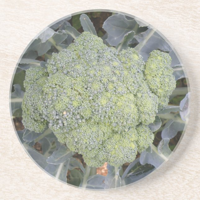 Broccoli Underlägg Sandsten (Framsidan)